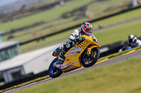 PJ-Motorsport-2019;anglesey-no-limits-trackday;anglesey-photographs;anglesey-trackday-photographs;enduro-digital-images;event-digital-images;eventdigitalimages;no-limits-trackdays;peter-wileman-photography;racing-digital-images;trac-mon;trackday-digital-images;trackday-photos;ty-croes